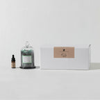 Sleeping Oasis Gemstone Diffuser - Aromatherapy Reed Diffuser | Tropical Bath