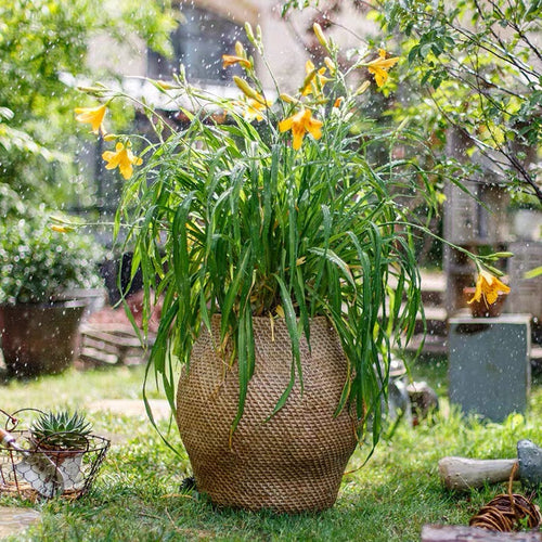 Large Cement Planter Pot with Basket Weave Design | Outdoor Garden 45x45x45cm