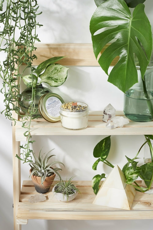 Peace & Serenity Intention Candle - Natural Ritual Candle for Calm & Relaxation