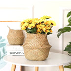 Seagrass Basket - Rattan Hanging Planter & Storage Organizer