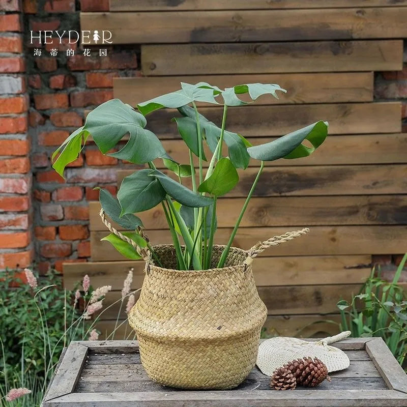Seagrass Basket - Rattan Hanging Planter & Storage Organizer