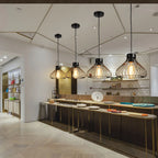 Vintage Industrial Pendant Light - Black Metal Cage Lamp Shade