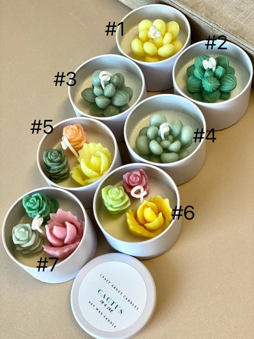 Cactus Scented Soy Candle - Handmade Baja Blossom & Coconut Hibiscus - 2.5" Jar