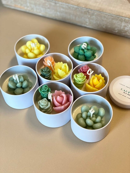 Cactus Scented Soy Candle - Handmade Baja Blossom & Coconut Hibiscus - 2.5" Jar