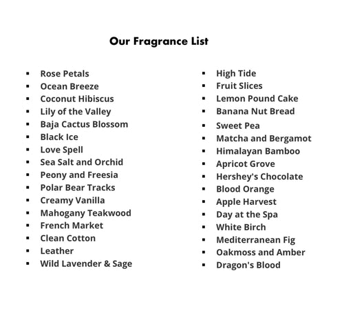 Cactus Scented Soy Candle - Handmade Baja Blossom & Coconut Hibiscus - 2.5" Jar