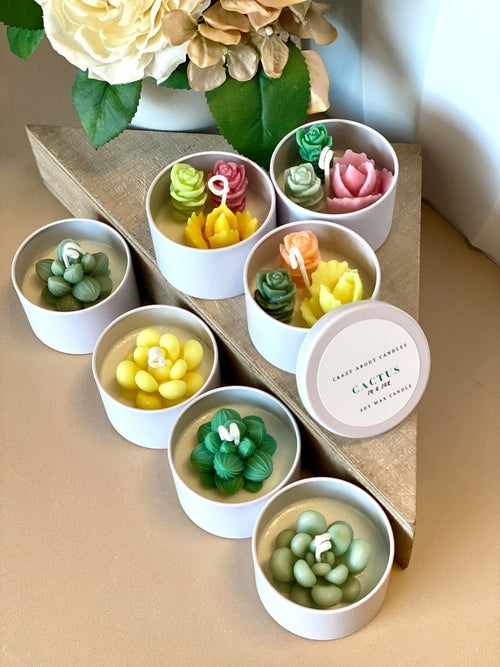 Cactus Scented Soy Candle - Handmade Baja Blossom & Coconut Hibiscus - 2.5" Jar