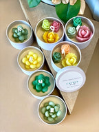 Cactus Scented Soy Candle - Handmade Baja Blossom & Coconut Hibiscus - 2.5" Jar